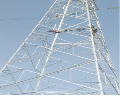 特力康陜西三跨視頻..jpg 特力康陜西三跨視頻..jpg