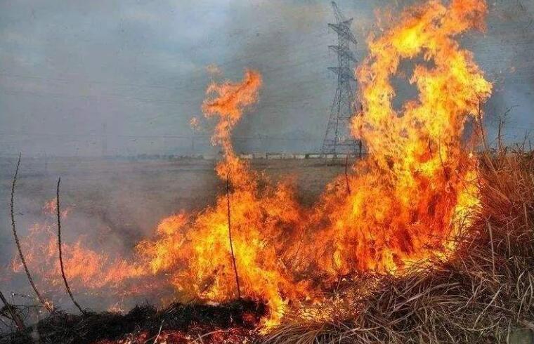 輸電線路防山火監測 輸電線路防山火監測