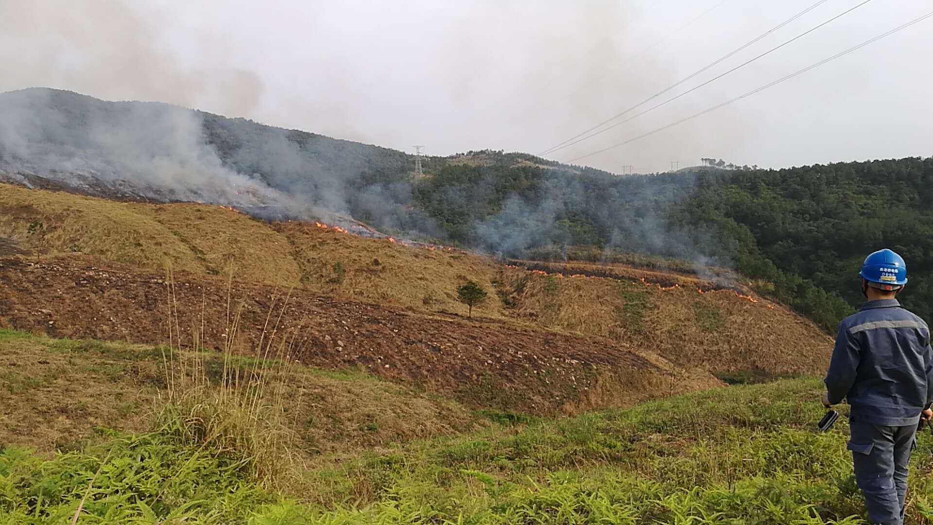 線路山火隱患紅外及可視化在線監(jiān)測裝置 線路山火隱患紅外及可視化在線監(jiān)測裝置