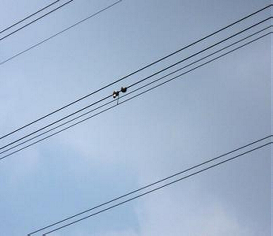 架空線路弧垂實時監(jiān)測系統(tǒng) 架空線路弧垂實時監(jiān)測系統(tǒng)